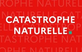 2026-02-26 15_58_27-catastrophe naturelle.png - Visionneuse de photos Windows